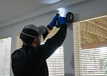 Lubbock Pest Control Companies Fox Pest Control Lubbock