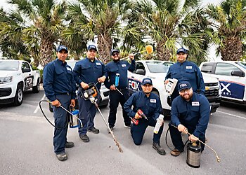 Brownsville Pest Control Companies Fox Pest Control-Pharr