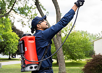 Rochester Pest Control Companies Fox Pest Control Rochester