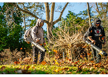 Lansing Landscaping Companies Foxscapes