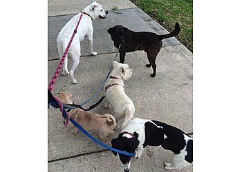 New Orleans Dog Walkers Foxtrot Dog Walking