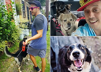 New Orleans Dog Walkers Foxtrot Dog Walking