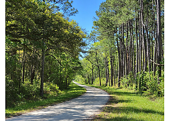 North Charleston Hiking Trails Francis Marion National Forest