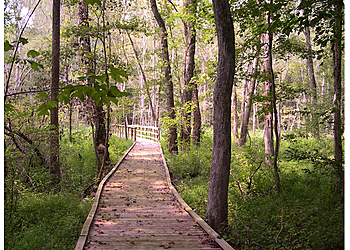 North Charleston Hiking Trails Francis Marion National Forest