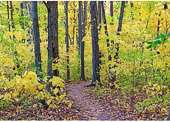 Fort Wayne Hiking Trails Franke Park