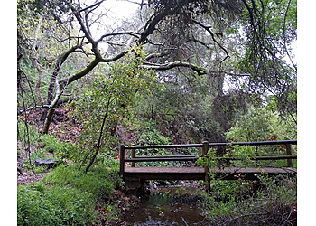 Inglewood Hiking Trails Franklin Canyon Park