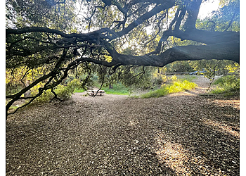 Franklin Canyon Park Inglewood Hiking Trails image 1