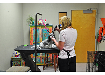 Elk Grove Veterinary Clinics Franklin Ranch Pet Hospital