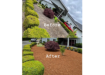 Eugene Lawn Care Services Frank's Lawn Care