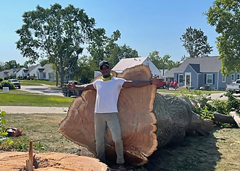 Cedar Rapids Tree Services Franks Tree Service