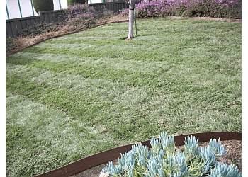 Frank's Yard Clean-Up San Jose Lawn Care Services