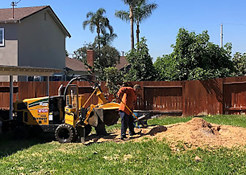 Anaheim Tree Services Freddy's Tree Service