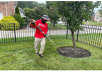 Chesapeake Lawn Care Services Freedom Mowers Lawn Care Service, LLC