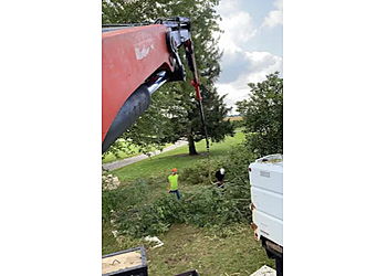 Fremont Tree Solutions - Fremont, CA Tree Services - Service Image
