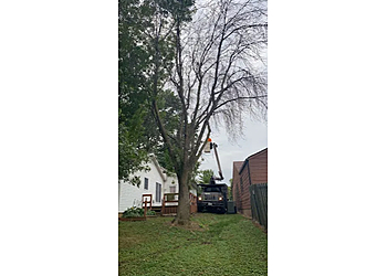 Fremont Tree Solutions - Fremont, CA Tree Services - Outdoor Work Image