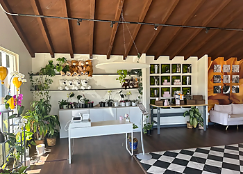 French Florist - Costa Mesa, CA Florists - Fresh Flowers Image
