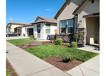 Modesto Lawn Care Services Fresh Squeezed Lawns