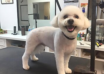 Akron Pet Grooming Freshcuts Salon & Mobile Dog Grooming
