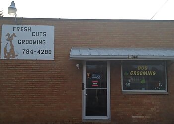 Freshcuts Salon & Mobile Dog Grooming Akron Pet Grooming image 1