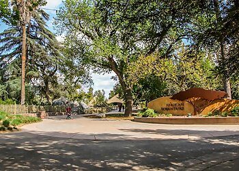 Fresno Places To See Fresno Chaffee Zoo