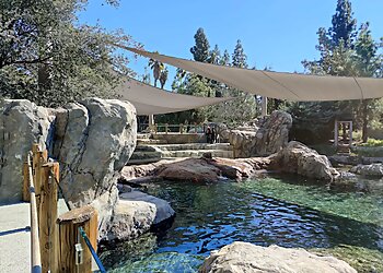 Fresno Chaffee Zoo Fresno Places To See