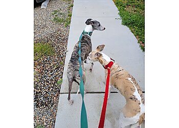 Fresno Dog Walkers Fresno Pet Pleasure