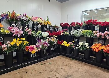 Austin Florists Freytag's Florist