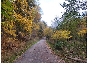 Pittsburgh Hiking Trails Frick Park