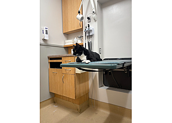 Washington Veterinary Clinics Friendship Hospital for Animals