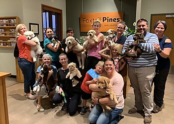 Front Range Dog Training Boulder Dog Training image 1