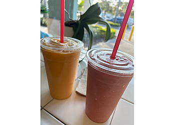 Hollywood Juice Bars Froots