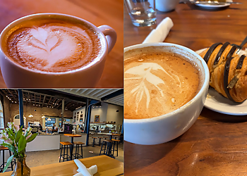 Chattanooga Cafe Frothy Monkey