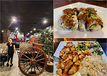 Buffalo Sushi Fuji Grill