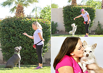 Glendale Dog Walkers FurBabies & Friends