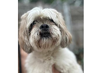 Columbus Pet Grooming Fur-Baby Pet Services LLC