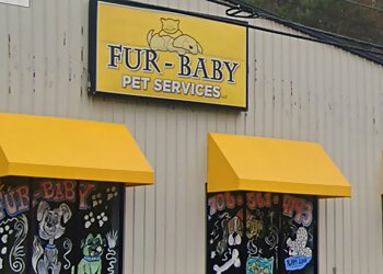 Fur-Baby Pet Services LLC Columbus Pet Grooming image 1