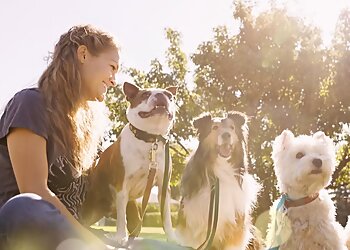 Furbabies Dog Walkers, Runners and Pet Sitters Irving Dog Walkers image 1
