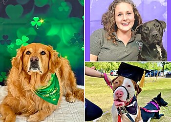 Glendale Dog Training Furbabies & Friends