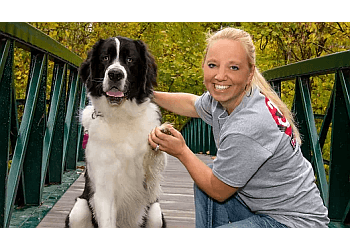 Furball Fitness Dog Walking & Pet Care