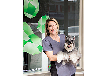 St Petersburg Pet Grooming Furology Pet Grooming