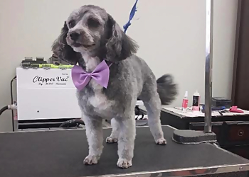 Santa Ana Pet Grooming Furr Paradise Santa Ana, LLC