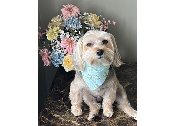 Paterson Pet Grooming Furrs N' Purrs, LLC