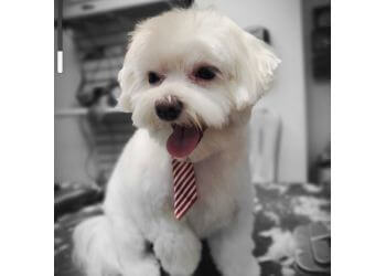 Paterson Pet Grooming Furrs N' Purrs, LLC