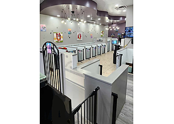 Gilbert Pet Grooming Furry Beginnings