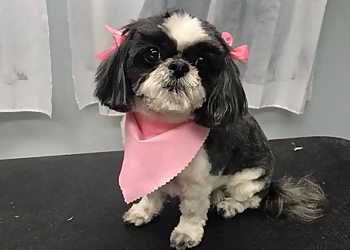 Furry Friends - Dayton, OH Pet Grooming - Service Highlights