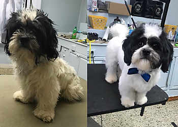 Furry Friends - Dayton, OH Pet Grooming - On-Site Service Image