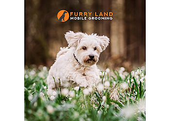 Detroit Pet Grooming Furry Land Mobile Grooming Detroit