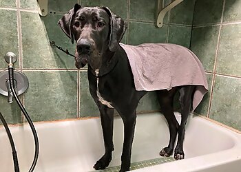 Atlanta Pet Grooming Furside East Atlanta