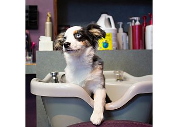 Chesapeake Pet Grooming Furst Love Pet Spa
