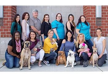 Chesapeake Pet Grooming Furst Love Pet Spa